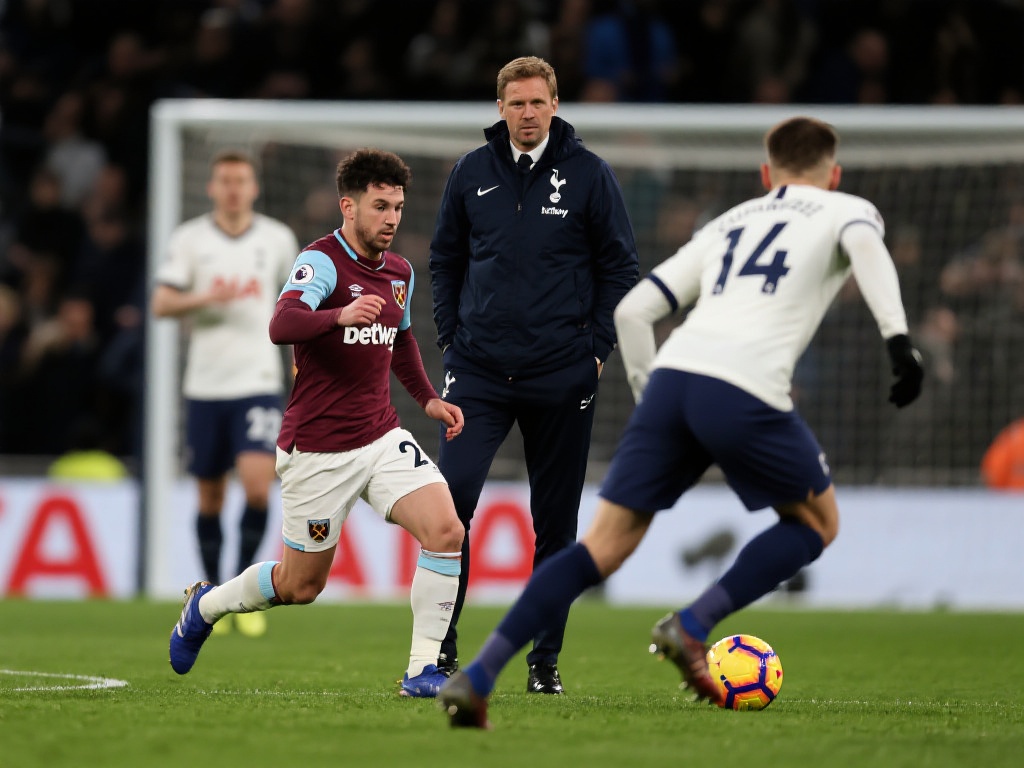 沙特引援的 沙特引援的